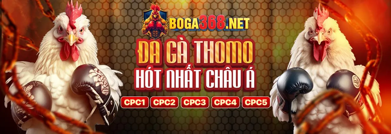 Đá Gà Trực Tuyến jun888 nhà cái