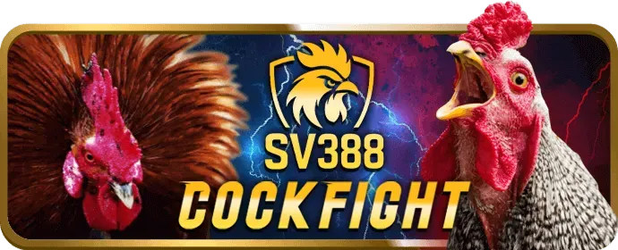 Hình ảnh minh họa các quy tắc chơi game công bằng và đa dạng trò chơi tại jun888 nhà cái